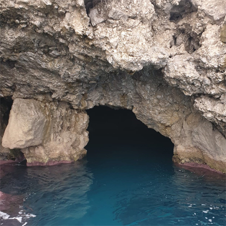 Escursione Privata Capogallo - Isola delle Femmine — foto 7